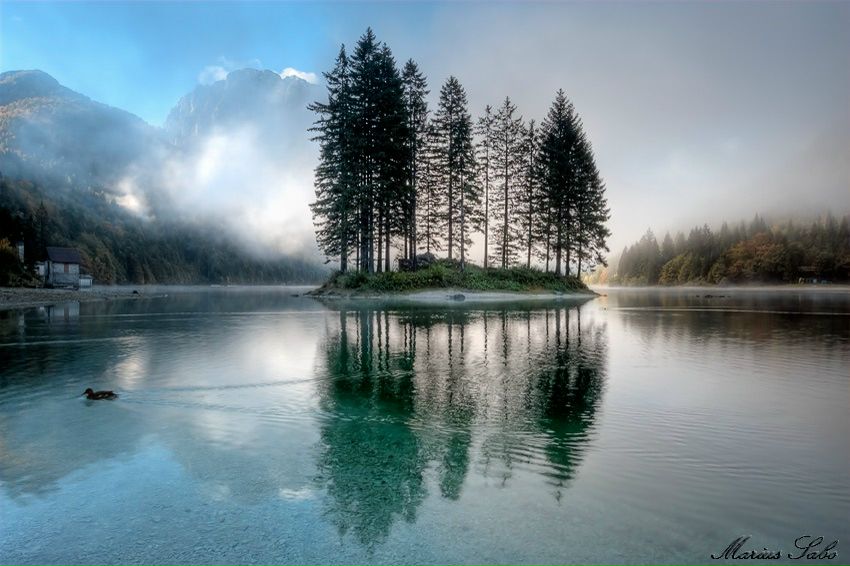 Альона Панько фото профиля #5