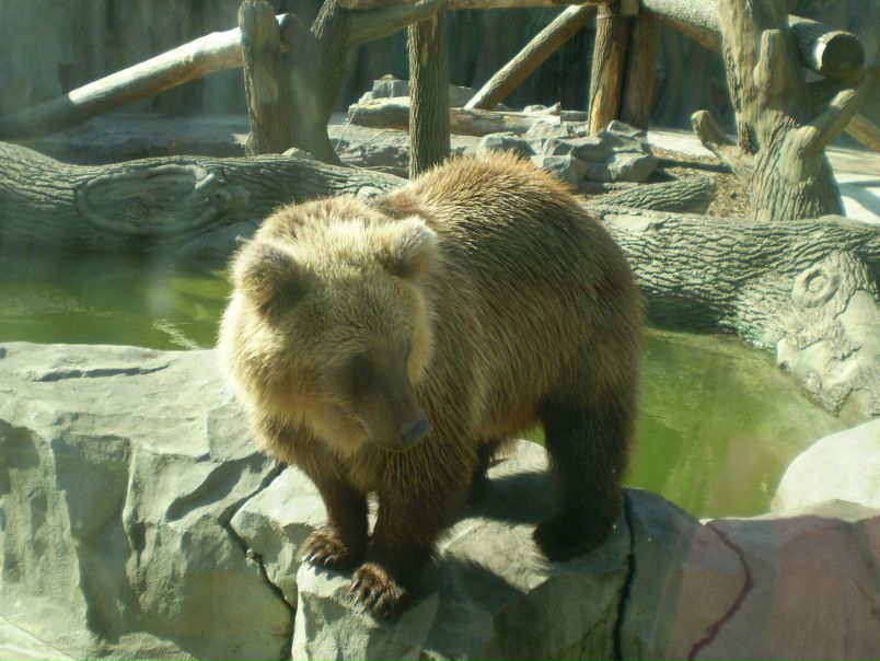 №6, Людмила Малород №6, Людмила Малород