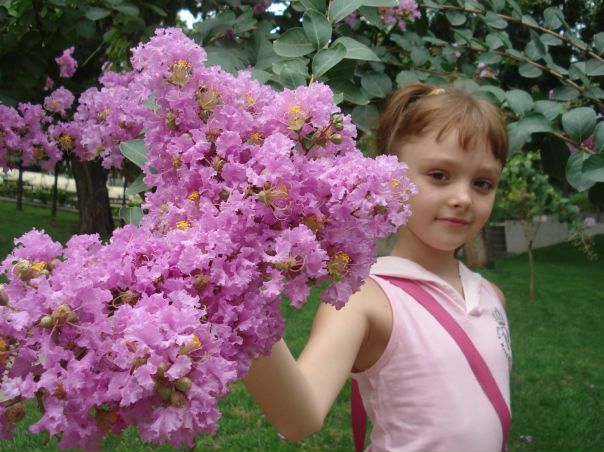 №97, Маша Вареникова, Пыталово №97, Маша Вареникова, Пыталово