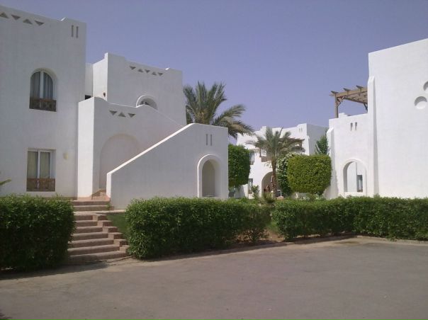 №55, Evgeny Gorodnitskiy, Baltic №55, Evgeny Gorodnitskiy, Baltic