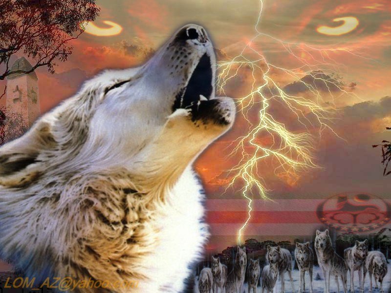 Катерина Медичи Скёлль | Мытищи