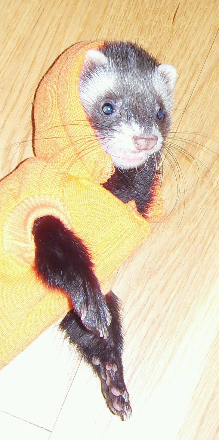 Анастасия Гетманская | Москва