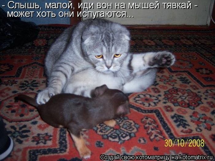 Наталья Карпова | Санкт-Петербург