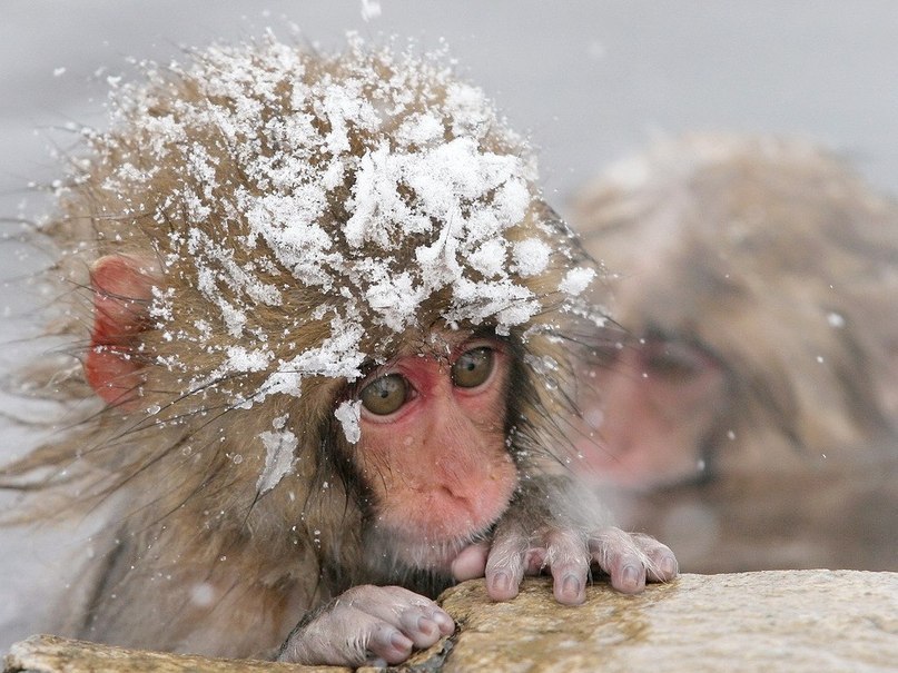 Мария Прохорова | 