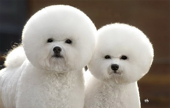 Татьяна Юдина | Балашиха