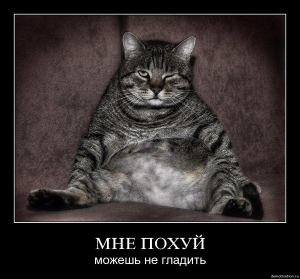 Лера Наумова фото профиля #4