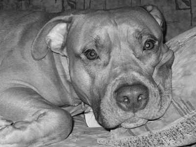 №59, Наталья Казачёнок, Санкт-Петербург №59, Наталья Казачёнок, Санкт-Петербург