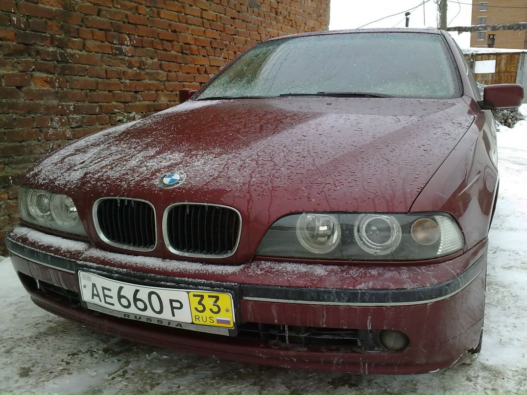 Антон Усачев | Владимир