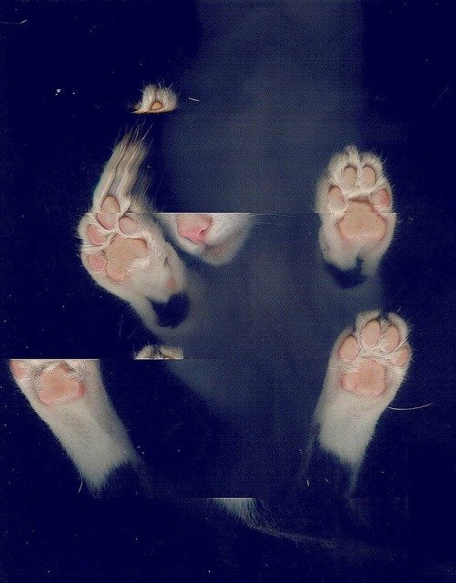 Валера Шестаков | 