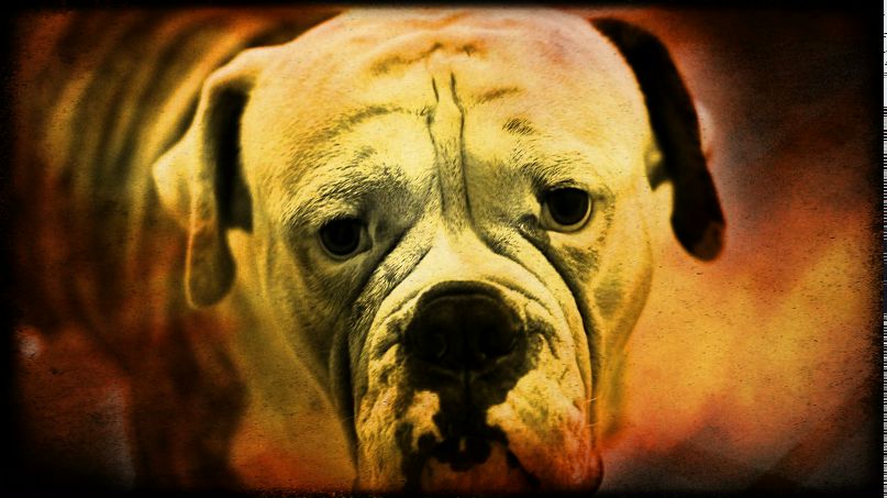 Костя N1 | Москва