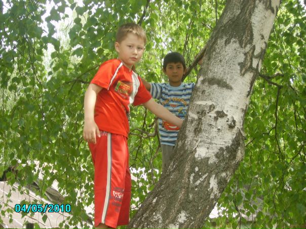 №5, Данил Зарипов №5, Данил Зарипов