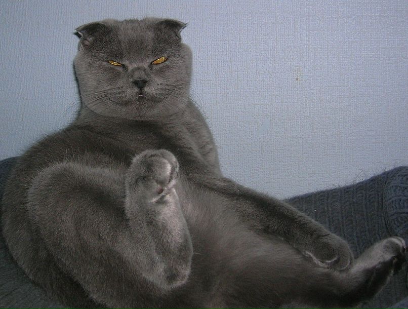 Михаил Ларионов | 