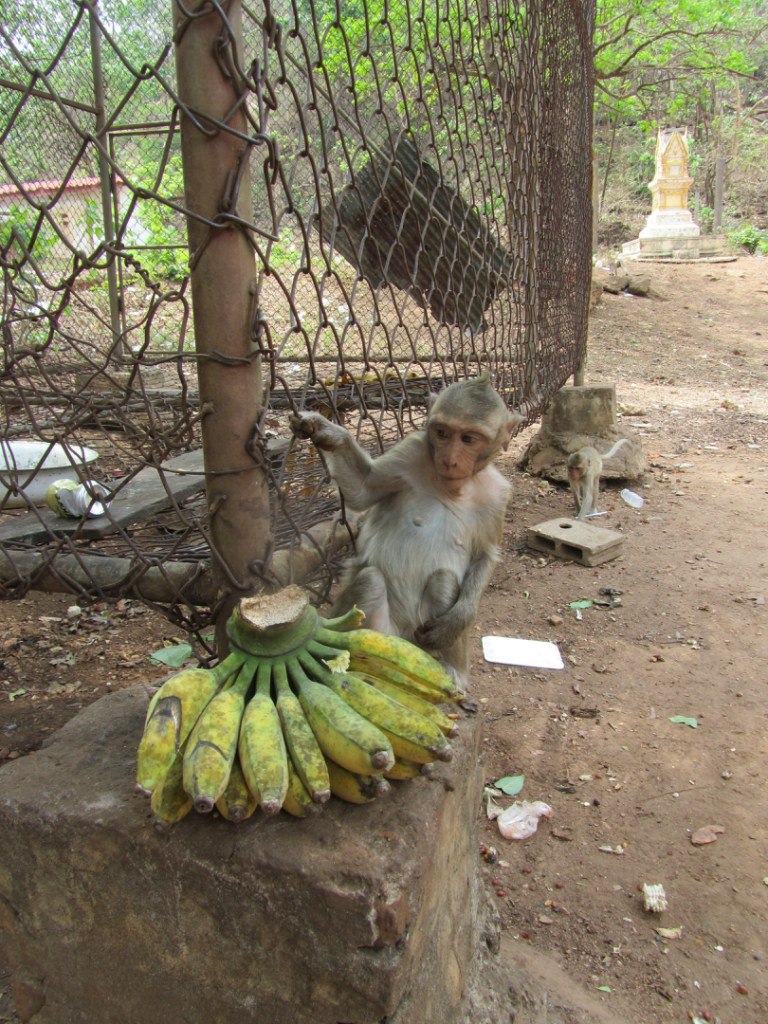 Антон Куссев | Москва
