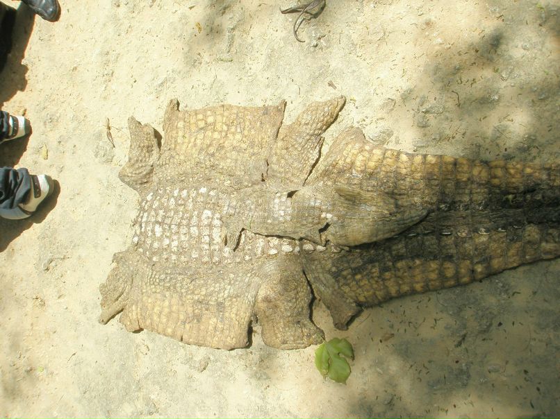 Роман Размочаев | Мариуполь