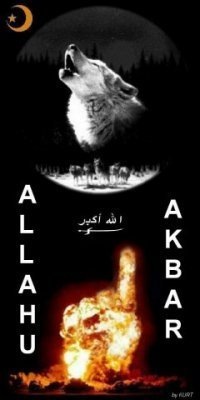 №36, Рам Алиев, Одесса №36, Рам Алиев, Одесса