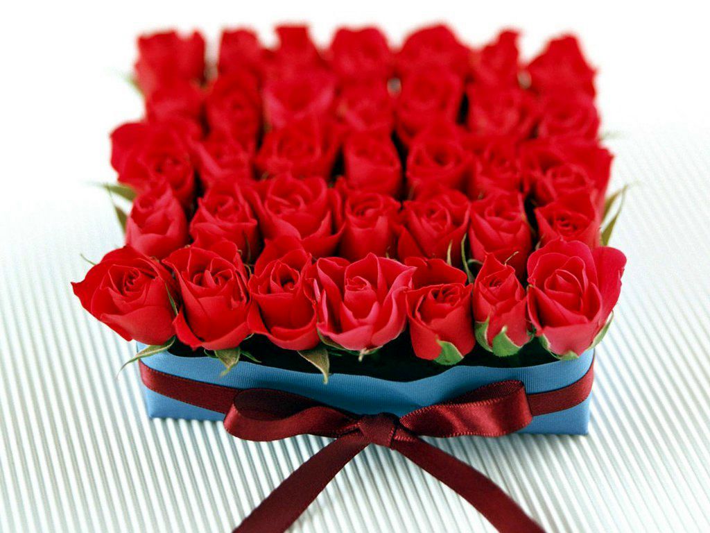 Олег Лисковец | Сочи