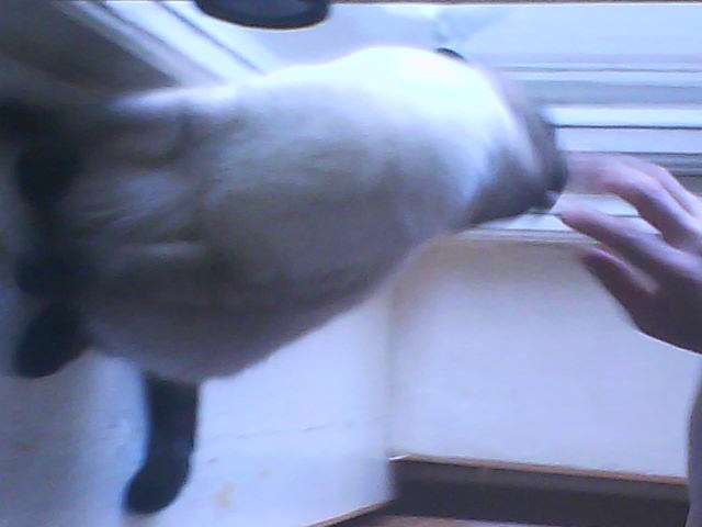 Мария Ткачёва | Казань