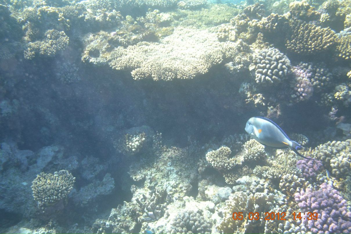 Надюшка Павлова | Обухов