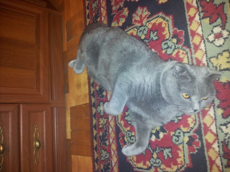 Борис Швецов | Москва