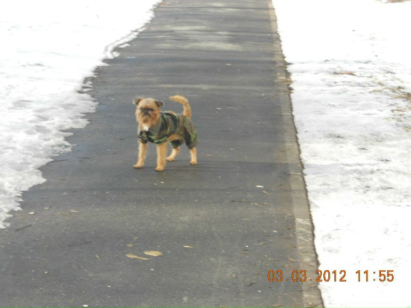 Елена Мошкова | Санкт-Петербург