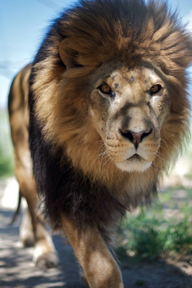 Мишаня Хайдуков | Екатеринбург