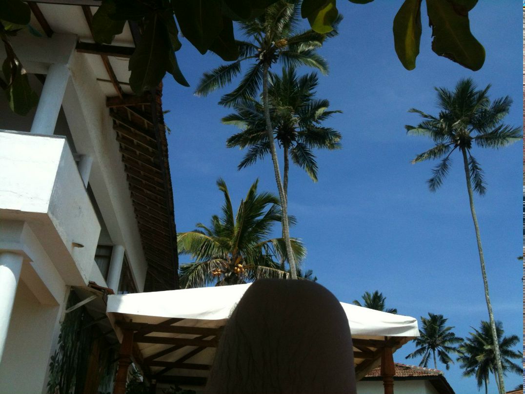 Станислав Олегович | Киев