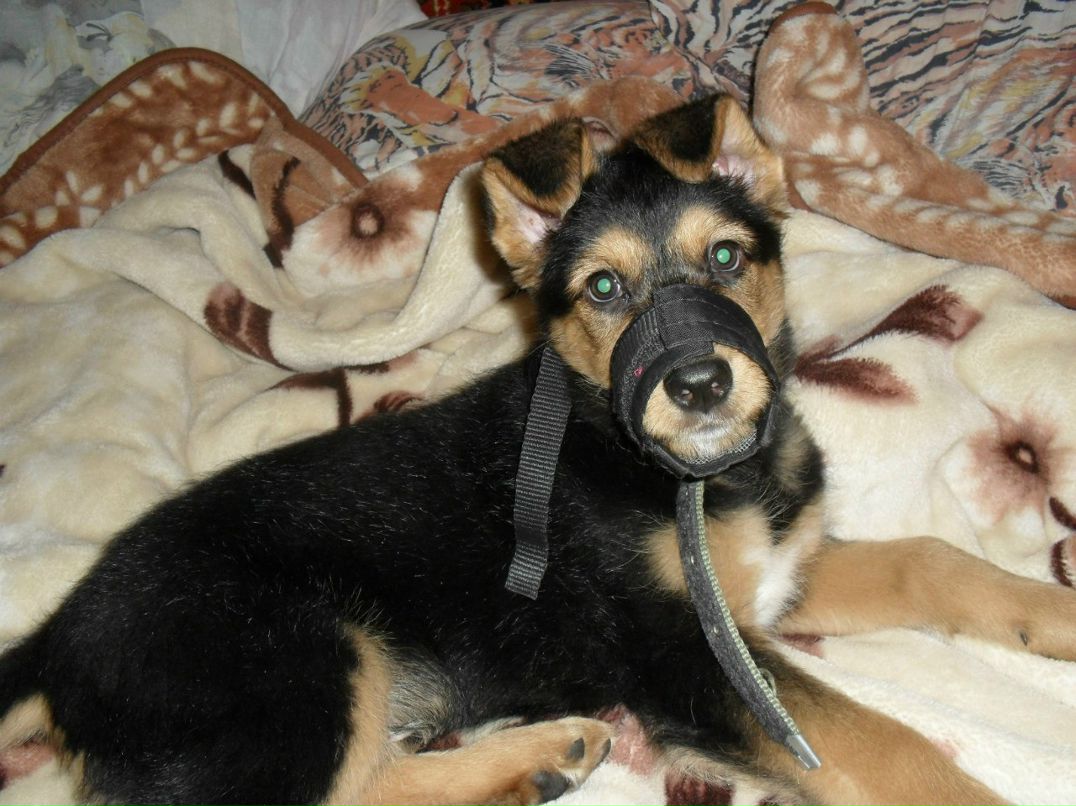 Виталия Кононова | Видное