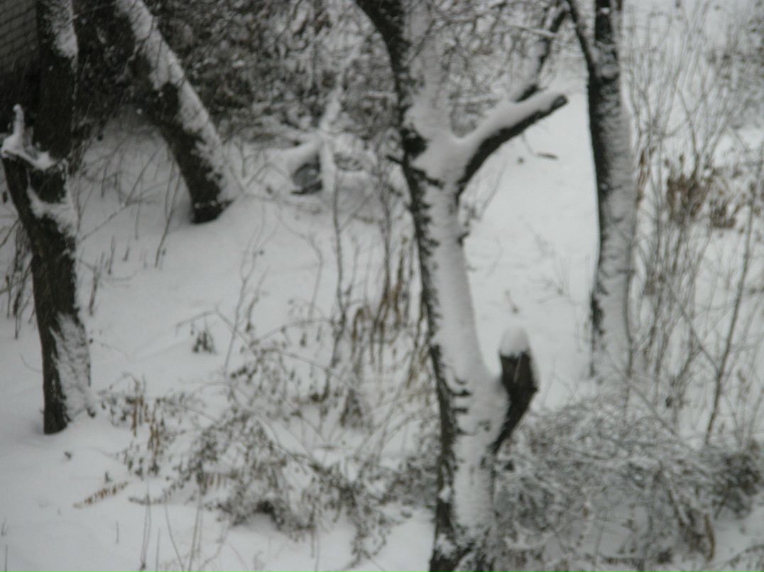 Дмитрий Тягунов | Киев