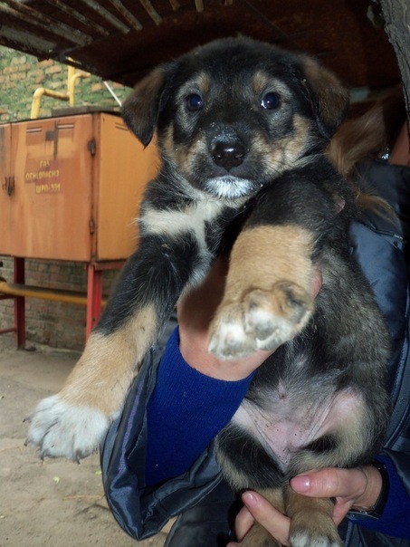 №37, Катечка Заплывко, 42 года, Днепр (Днепропетровск) №37, Катечка Заплывко, 42 года, Днепр (Днепропетровск)