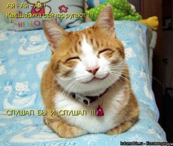 Ольга Мирская | Москва