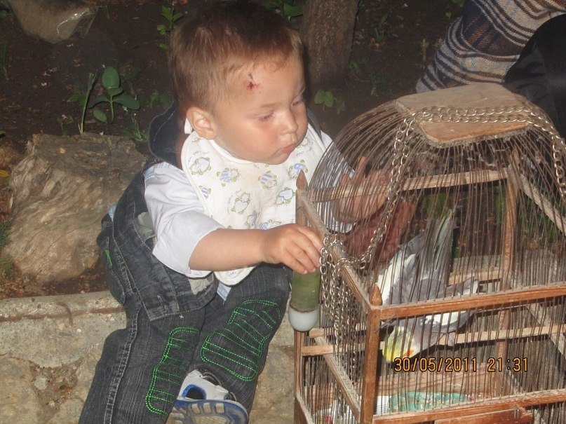 Ружди Чабанов | Симферополь