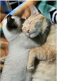 Kira Averkova | Запорожье