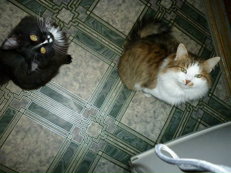 Валентина Кузьменко | Корсунь-Шевченковский