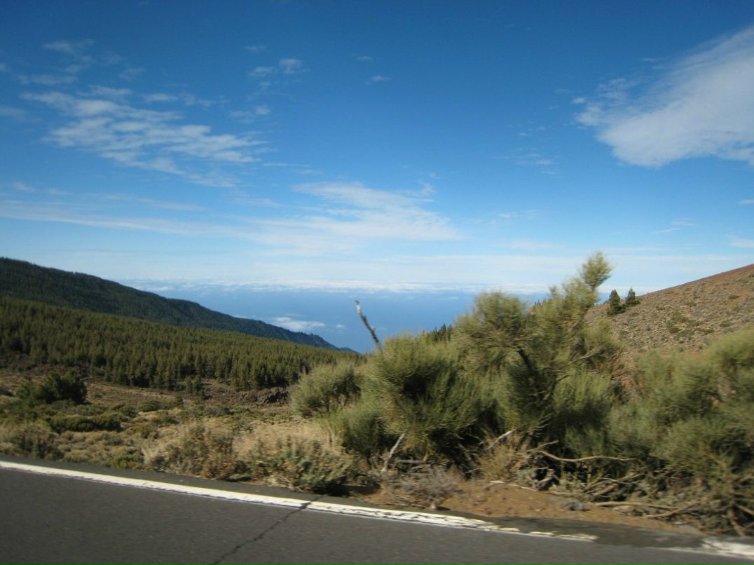 Саша Боговков | Санкт-Петербург