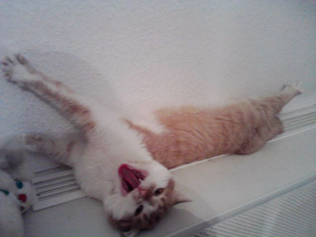 Валентина Великая | Александрия