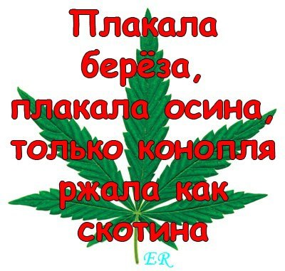 Илья Доктор | Киев