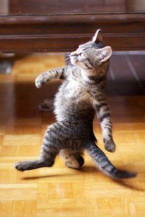 Алексей Прокофьев | Москва