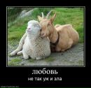 Фотография Артем Залуський