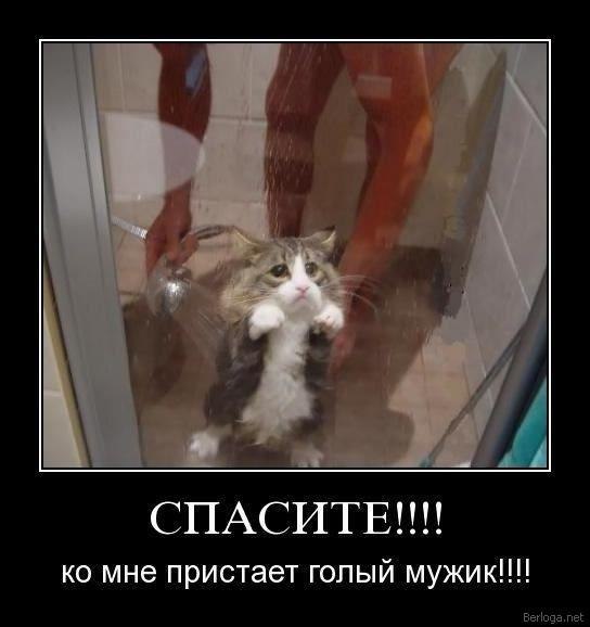 Андрей Павлов [SR-clan]_myshikk_ | Винница