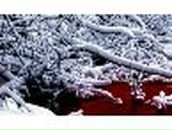 Ангелина Сергеевна | Москва