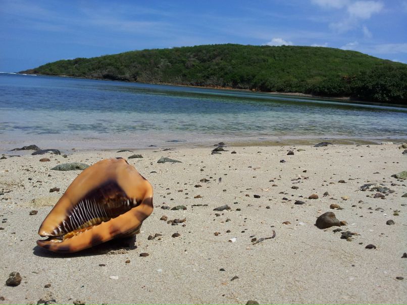 Сергей Хоренко (Zhorik, Malish) | New York City