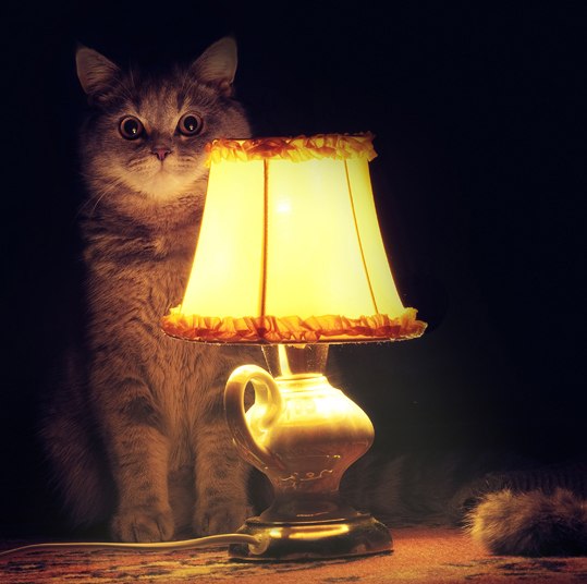 Андрей Рожковский | Москва