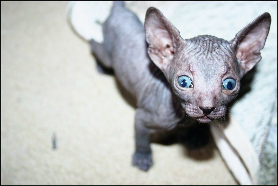 №119, Anton Stolyarsky, Одесса №119, Anton Stolyarsky, Одесса