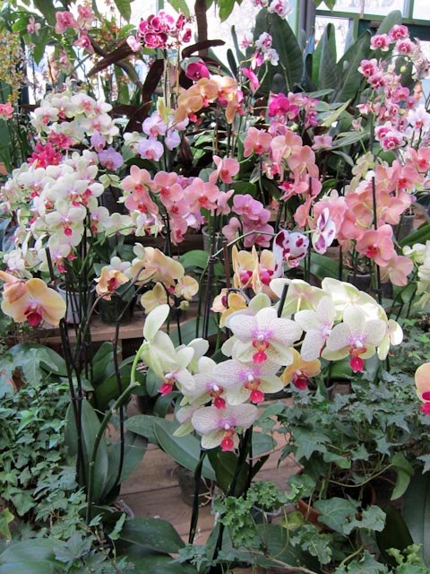 Анастасия Цветкова | Москва