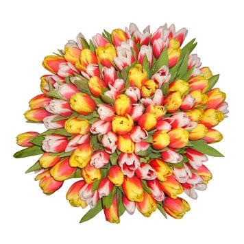 Клим Летов Rastaone | Москва