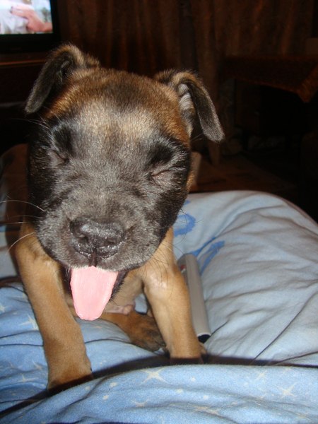 Мария Козаченко | Мариуполь