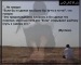 Ландыш Гарифуллина фотография #14