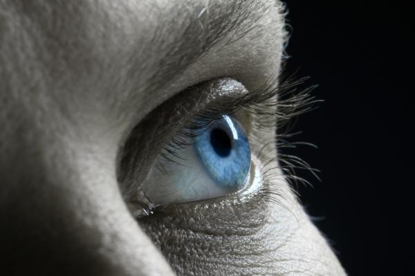 №6, Станислав Кошелев №6, Станислав Кошелев