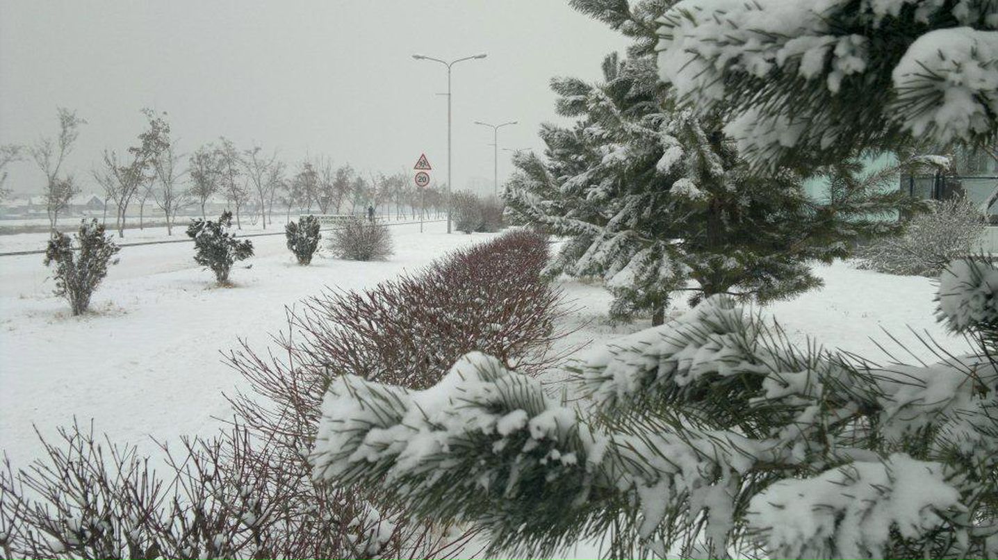 Сергей Журавлёв | 