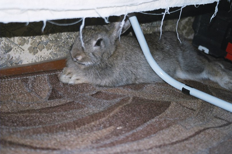 Нюраанна Деревянская | Керчь